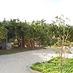 All'ombra Del Carrubo -