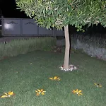 Bed & Breakfast All'ombra Del Carrubo - 4*
