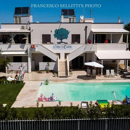 All'ombra Del Carrubo -