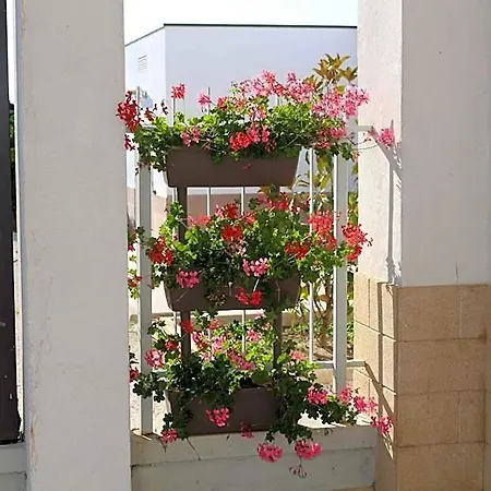 All'ombra Del Carrubo - 4*