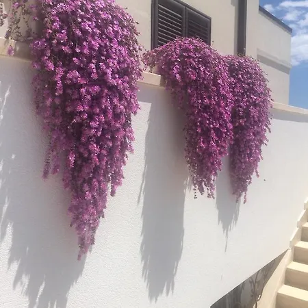 Bed & Breakfast All'ombra Del Carrubo -