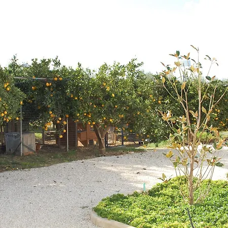 All'ombra Del Carrubo -