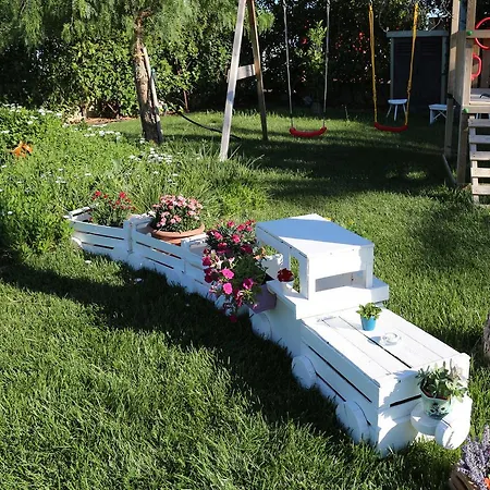 All'ombra Del Carrubo -