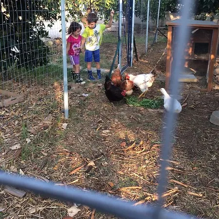 All'ombra Del Carrubo - Bed & Breakfast