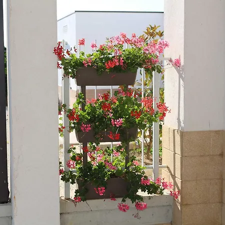 All'ombra Del Carrubo - Metaponto