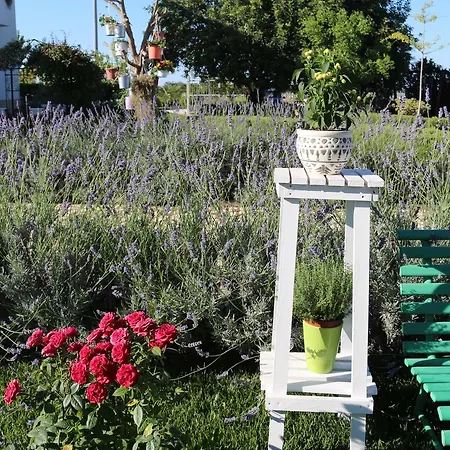 All'ombra Del Carrubo - Metaponto