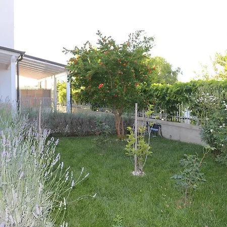 Bed & Breakfast All'ombra Del Carrubo - 4*