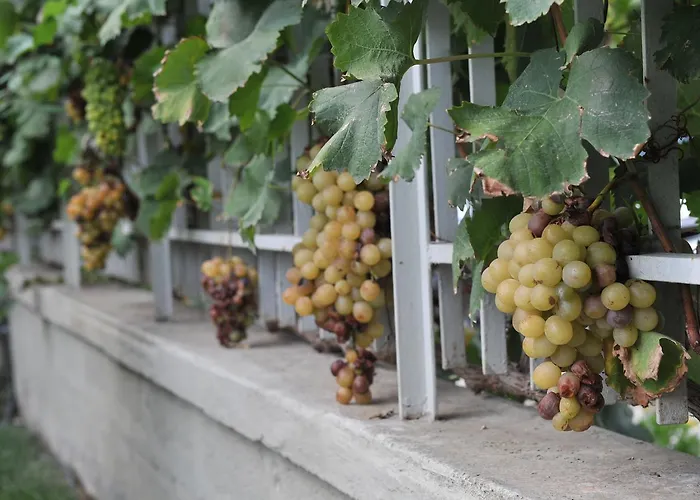 Bed & Breakfast All'ombra Del Carrubo - 4*