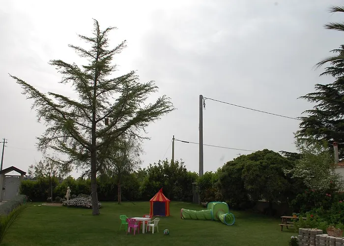 All'ombra Del Carrubo -