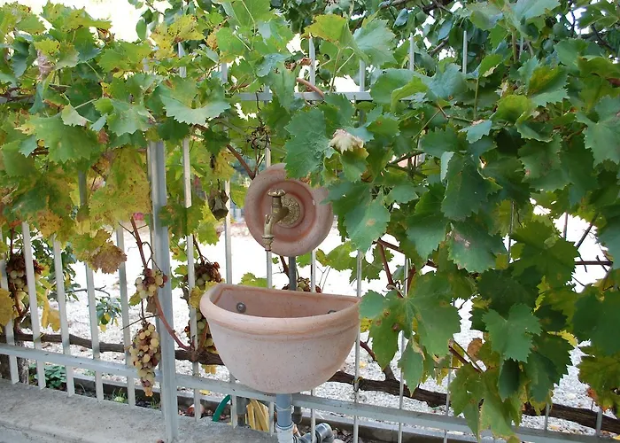 All'ombra Del Carrubo - Bed & Breakfast Metaponto