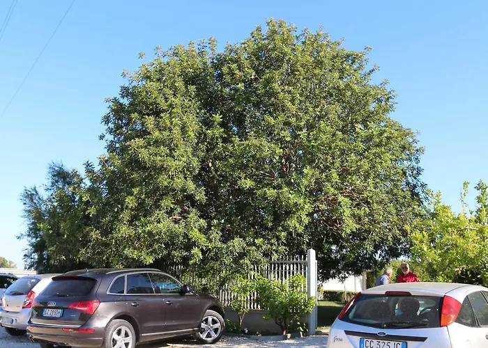 All'ombra Del Carrubo -