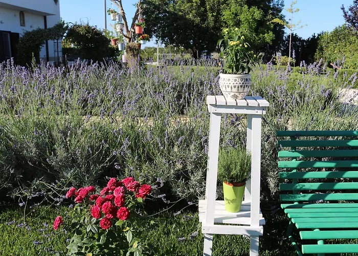 All'ombra Del Carrubo - Metaponto